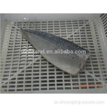 Kinesisk fisk frusen fisk Stilla makrillfilépris